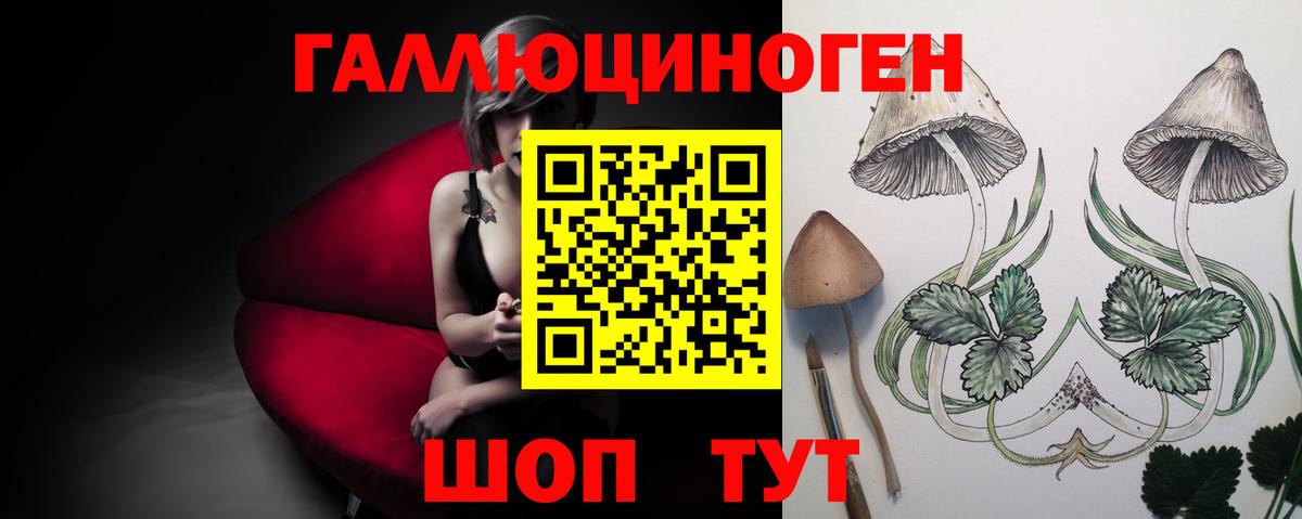 Псилоцибиновые грибы Cubensis  Вход с VPN  Ирбит 